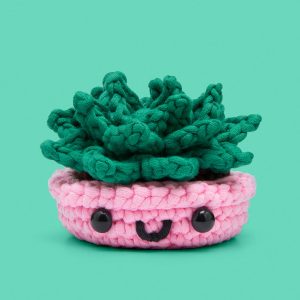 Succulent Crochet Kit | The Woobles