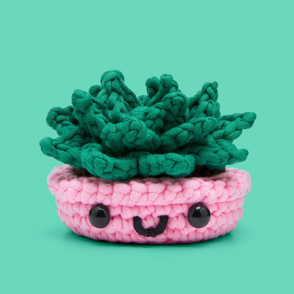 Succulent Crochet Kit | The Woobles