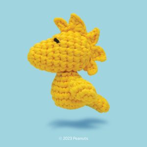 Woodstock Crochet Kit | The Woobles