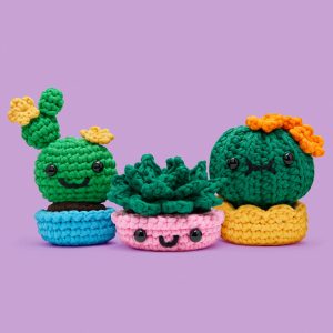We'll Never Desert You Bundle | The Woobles