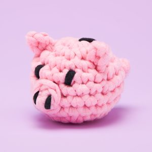Tiny Piggy Bank Kit | The Woobles