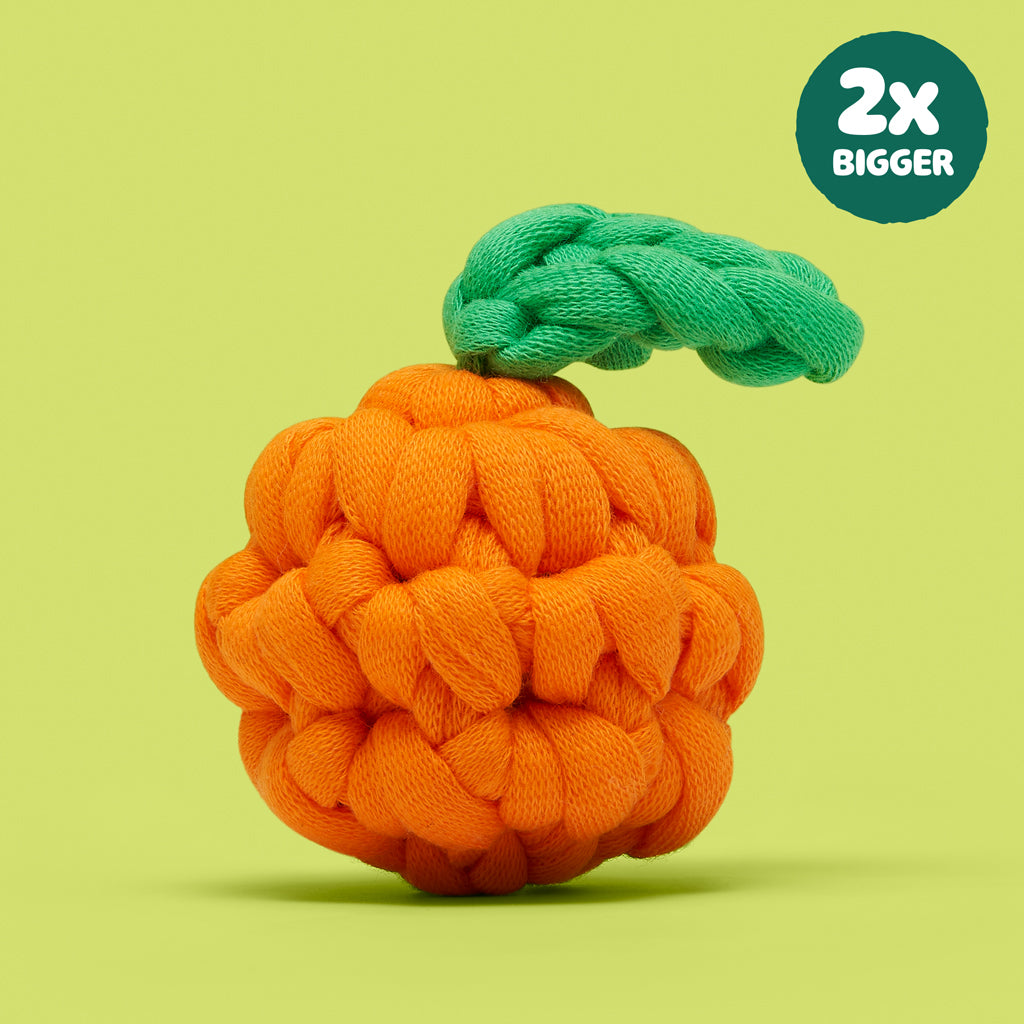 Tiny Yuzu Easy Squeezy Accessory Kit | The Woobles